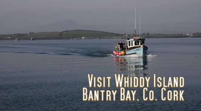 Visit Whiddy Island