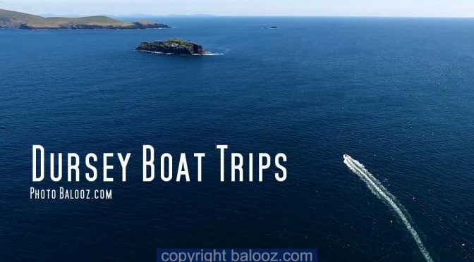 Dursey Boat Trips